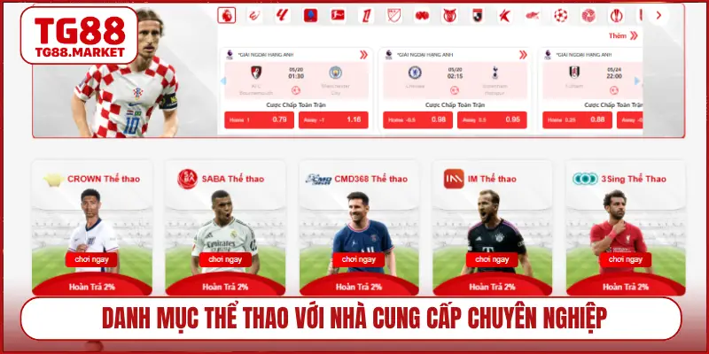 Danh mục thể thao với nhà cung cấp chuyên nghiệp